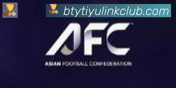 B体育官网合作伙伴